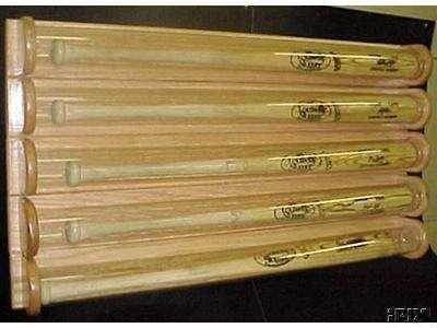5 Bat.jpg (24429 bytes)