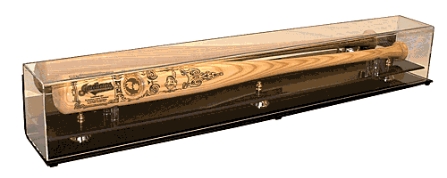 Bat display case